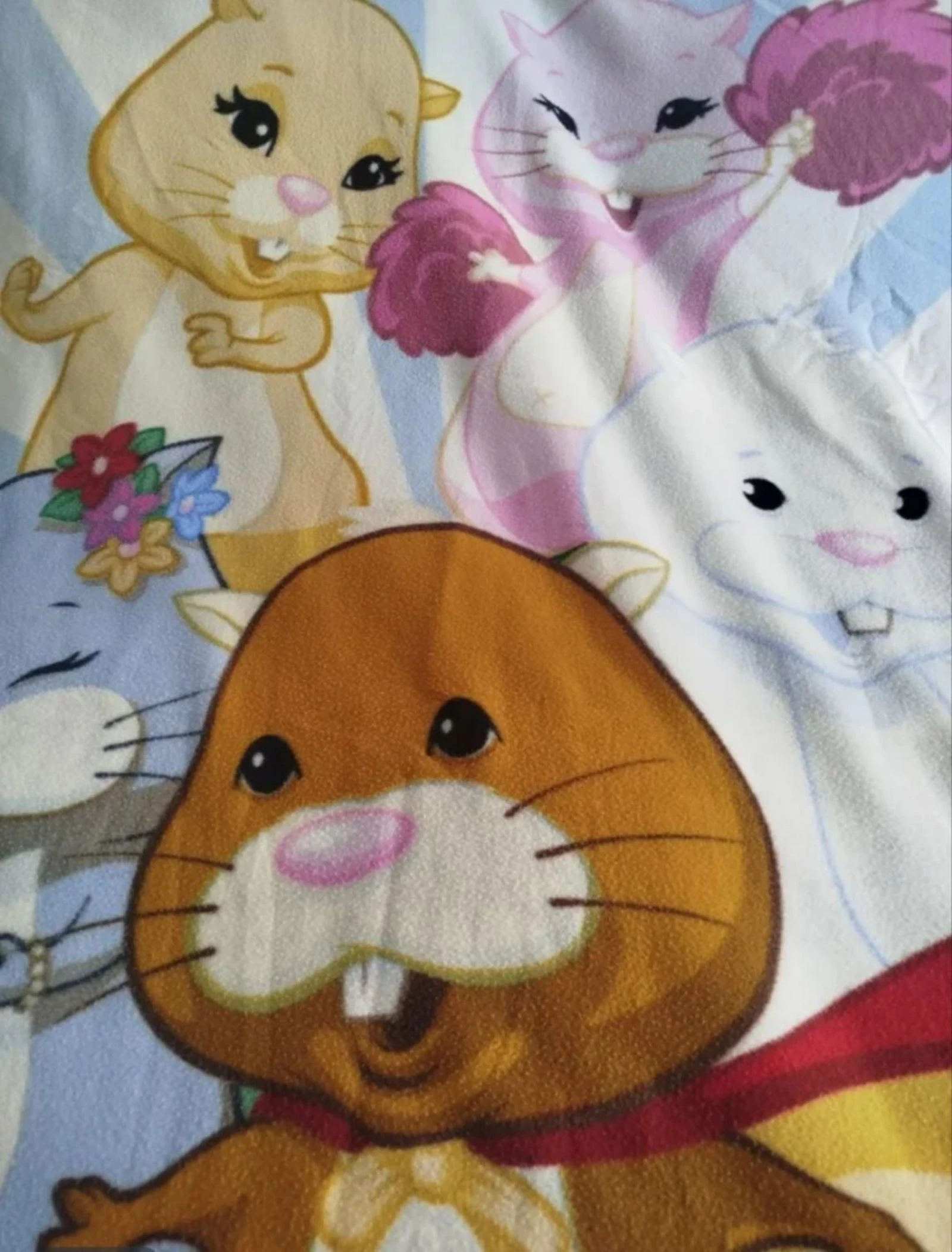 Zhu Zhu pets deken – photo 3